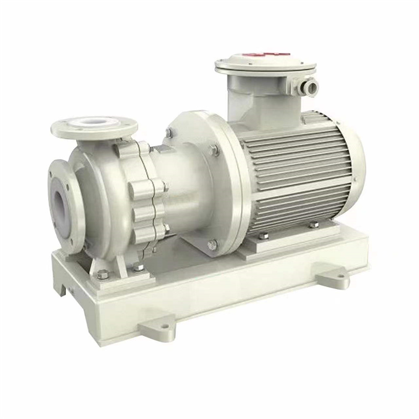 Magnetic pump with plastic lined FTCF